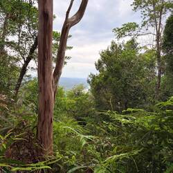 View from the top... stunning but a shit load of palm oil plantations