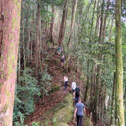 Beautiful walk
