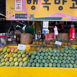 Fresh mango