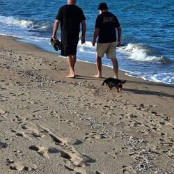 Forrest Beach