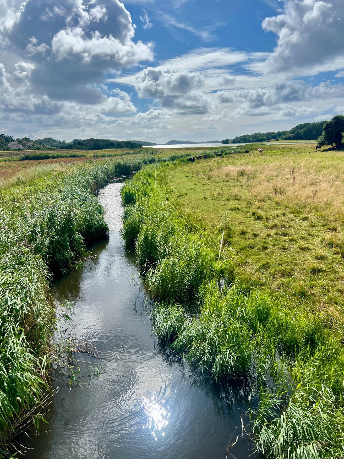 Schwedenschön - manchmal lässt sich auch Weite fotografieren.