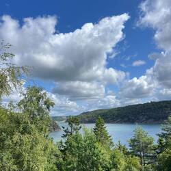 Spitze Wipfel und Wolken am Åbyfjorden