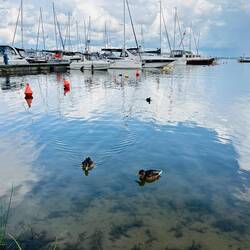 Yachthafen Wilkasy am Jezioro Niegocin (Löwentinsee)