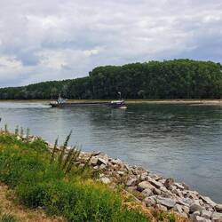 Das erste Rheinfrachtschiff auf unserer bisherigen Radtour