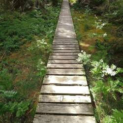 Weg zum Blindensee