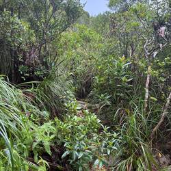 Der Wanderweg