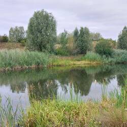 Brook Leys Lake