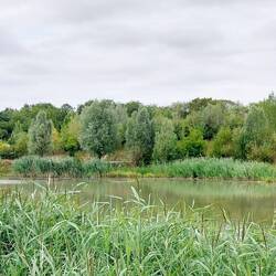 Brook Leys Lake