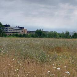 View from the footpath