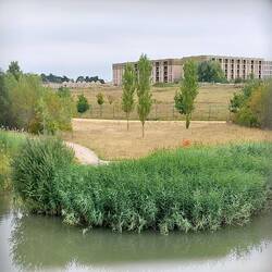 View of Eddington across Brook Leys Lake