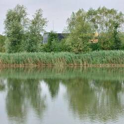 Wrst Cambridge Lake