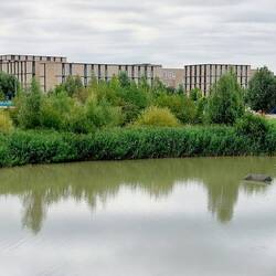 View of Eddington across Brook Leys Lake