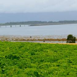 Looking across to the bridge to Tautra