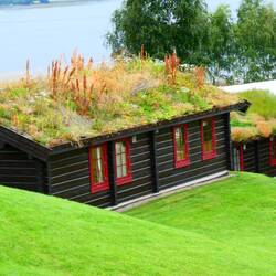Another hut looking like it could do with a trim