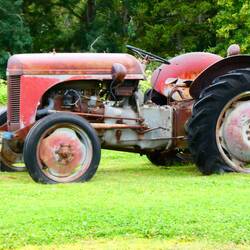 Massey Ferguson tractors seem to be everywhere