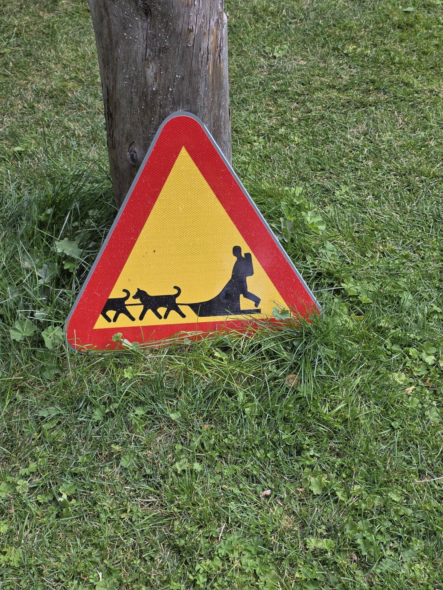 Im Sommer ist Huskytrainingspause. Zu warm für die Hunde.