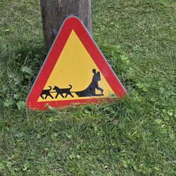 Im Sommer ist Huskytrainingspause. Zu warm für die Hunde.