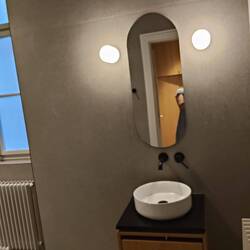And the modern toilet and 2 shower bathroom