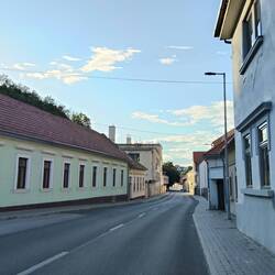 Evening walk