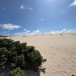 Die riesige Sanddüne