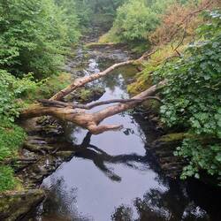 Downstream from footbridge over afon Mynach