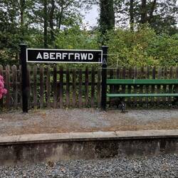 Aberffrwd station on Vale of Rheidol narrow gauge railway