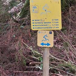 Bike x-ing Schwarzwald