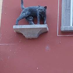 Kater gibt es in der ganzen Stadt