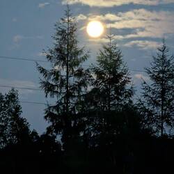 Moon light