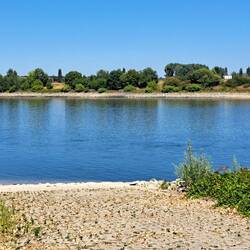 Rhein bei Oppau