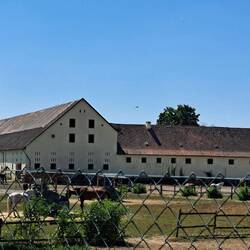 Hofgut Petersau