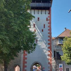 Ein Storchennest