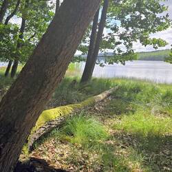 Schwedische Seenlandschaft