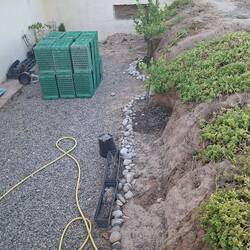 One of my jobs...watering these poor plants lol