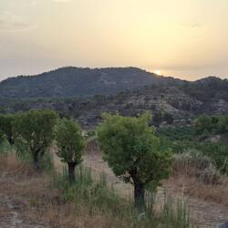 The view from my bedroom