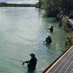 Die Angler (innen) stehen im Wasser...