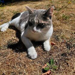 Notice how dry the grass is!