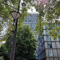 A view through the trees