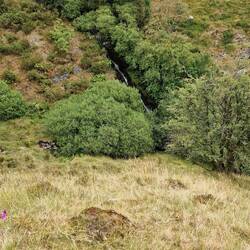 Waterfall in Cwm Glas on descent down to Cwmystwyth