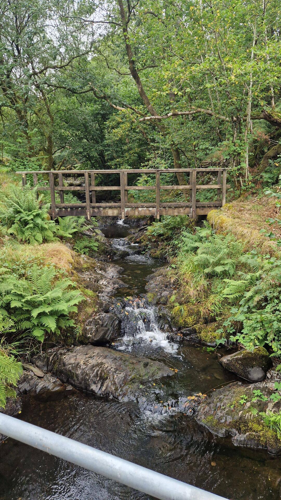 Footbridge over afon Milwyn on south side of Cwmystwyth