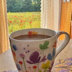 Frühstück mit der passenden Tasse zur Wiese
