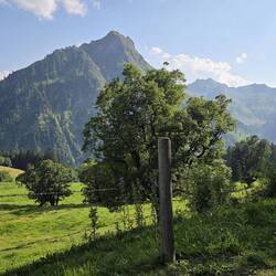 Ausblick vom Liegestuhl - wir bewegen uns nur noch zum Essen und ins Bett 😜