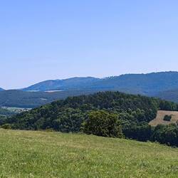 Weitblick