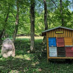 Bienenhaus