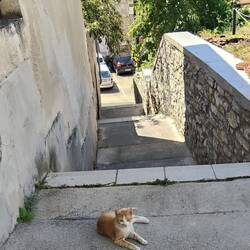 Lots of narrow steep streets and walkways between roads