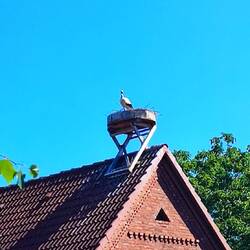 Was klappert denn da ?