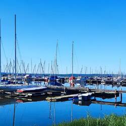 Mardorf am Hafen