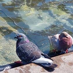 Die 2 haben so recht. Einfach baden. Später entdeckte ich Menschen die in einem Brunnen hockten