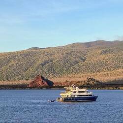 Die Letty vor Anker