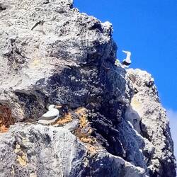 ... Mittags-Schnack